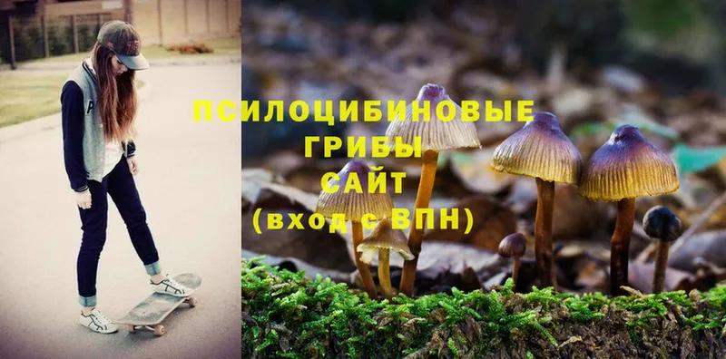 MEGA ссылки  Добрянка  Галлюциногенные грибы Psilocybine cubensis  darknet какой сайт  где продают наркотики 